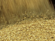 ��������� ������������� 12,7 ��� ���� �����