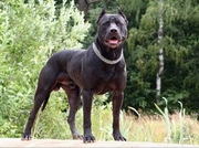 ������������� � ����� ���������� ��������� �� ����������� �����������