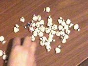 �� 15 ��� ������� ������  �� �������� ��������