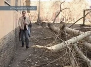 ��������� ������ ������� ������