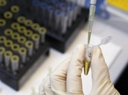 ������������� ������ ������� �� ��������� ����������� ���������� ���