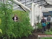 ������ �� ���������� ������� ������ ������� ������������������� ��������