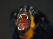 � �������� ������� ������ �� ���������