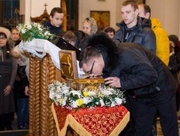 � �������� ���������� �������� ���� �������� ���������