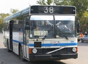 ���������, �������! 