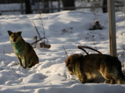 ��� �� ���������� ������ ����� ���������� ���� ������