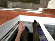 �� ���� ������ ������� � ������ ���������� �������������