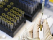 ���������� ���������� �������� ������������� ������ �������� 8 ����