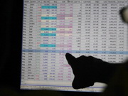 ����� ������ ���������� ����������� ������� �� ��� ������