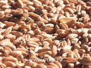 ������� ����� �� ���