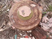 ��������������� ���� ���������� � ��������