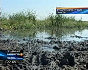 � �������� ���������� ���������� ���� � �����