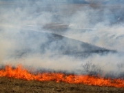 ������� ������� ����� ������ �� ������� ����������