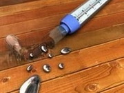 ����� �� �������� ����������� ��������� ������ ��������