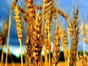 ������������� ����� ����� �������� ���� �� ���� � ������