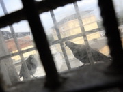 10 ������� ������������ ����������� � ������������ ���������� � 2011 ����