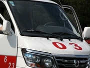 � ������ 7-������ ������ ��������� ����� ����� �����