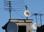 ���������� �������� �������� � ���� ��������� ������������� �������