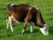 ������� ������ � ������?