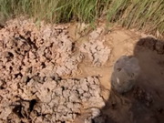 �� ������� �������� ���������� ������� ��������� �������