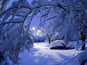 ��������� ��������� ������������ ���� � ���������� ����