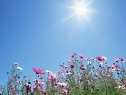 � ����� ������ ��� ������� ��������� �� ������� ����� ��