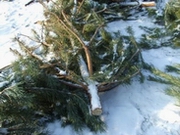 �����, ������������� ����������?