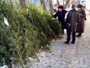 ������� ����� ���������� �������?