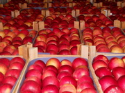 21 ����� �������� ����� �������� ������ � ������ �� ���������� 