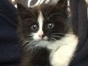 � ������ �������� ����� �� ������������ ���� ���� �������