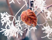 � ������ � ���������� ���������� �� ����� 30 ��������