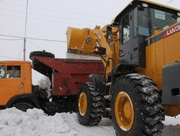 ����� 175 ���. ���� ����� ������� ������������� ������� � ������� ����� ����