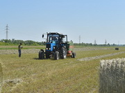 �������������� �������� ������������ ������� ����� �� ���� ���