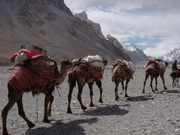 ���� ��������� �������� ������� � ��� �� ����� ����������� � ����������