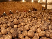 ��������� ���� ������� ������� ������������� ������