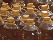 � ���� ����� ����������