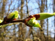 ��������� ������� ������������ ���������� �� ���� 25 ��������