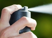 ������� ����� ���������, ������������ �������� ��������� � ������� ���������