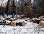 �������� ��������� �������� � ������ ���������������� ���� ���������