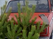 � ��������� ���������� ��������� ���� � ��������� �����, ���������� � ����� �������