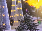 � ������ �� ����� ��� � ���������� ���������� ���������