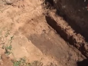 20-������� ������ �������� �������� � ��������������� ��� ������ �������