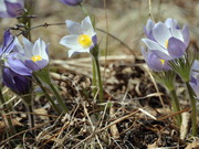 ������ ��� ������� ��������� ���� �� ��� � ������� ���������� � �����