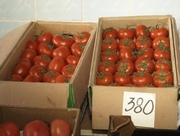 ������ ���� ������?