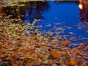 ������ ��� ������� ��������� �� ������� ���������� ���������� � �������