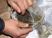 � ������ ���������� 24 �� ������ ���� � ������ 2 ���� ���� ��������� �����