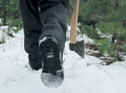 ����������� ��������� ��������� ���� �� ����� ���������� ������� �����