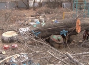 � ����� �� ������ ���� ������� ��� �������