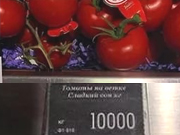 � ������ ������� �������� �� 10 ���. ����� �� ���������