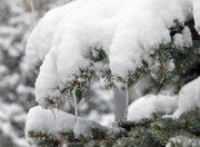 � ������ � ���������� � ������ ���������� ���������